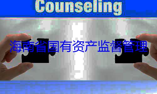 海南省国有理委员会党查调查资产监督管有福接受审委副书记王